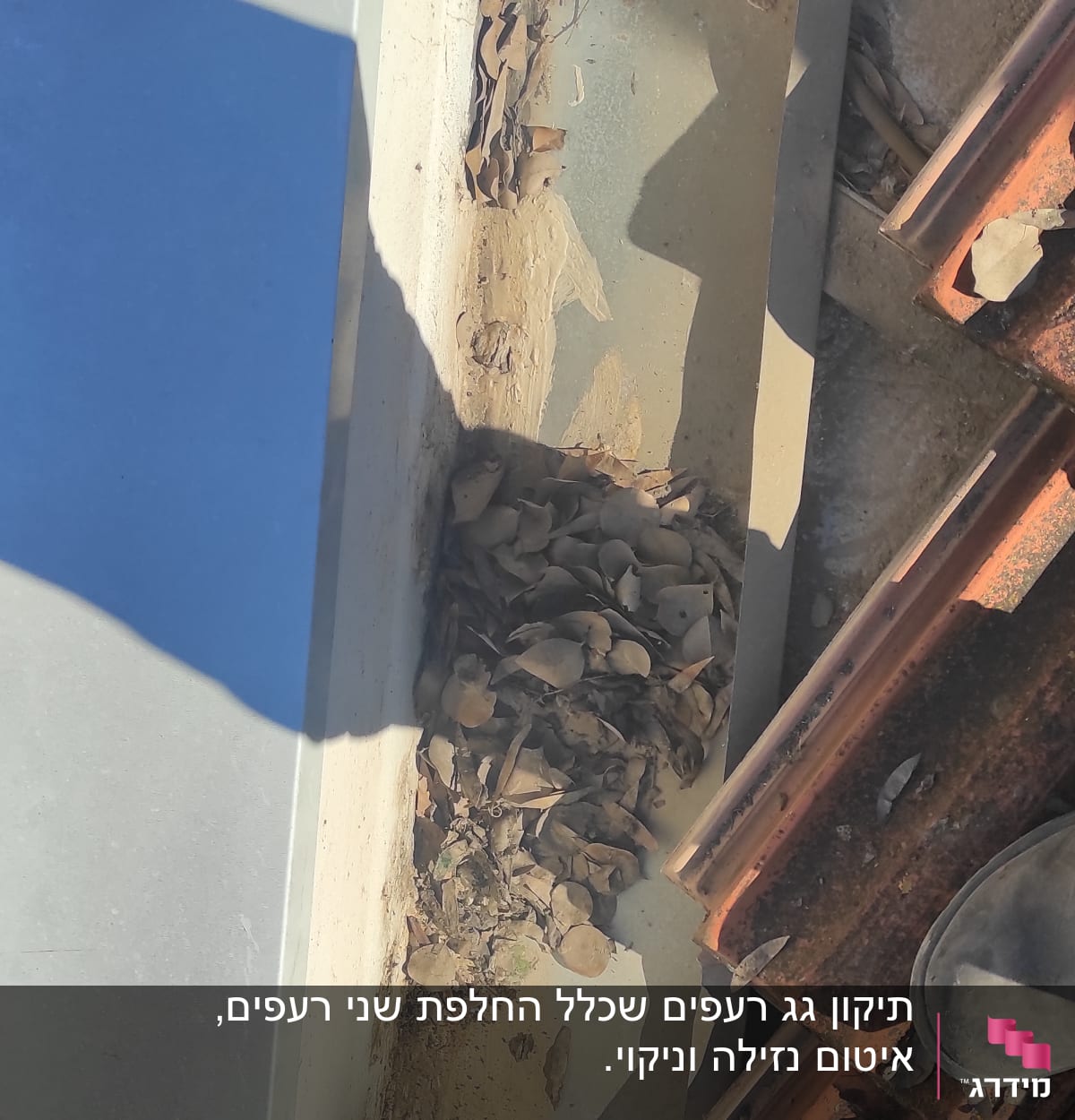 עלים יבשים מצטברים על גג רעפים